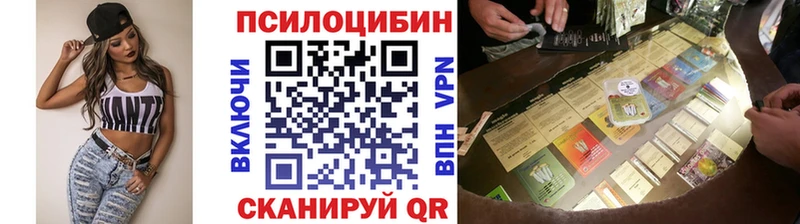 Псилоцибиновые грибы Psilocybe  Солигалич 