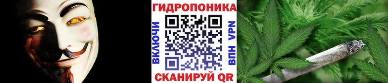 блэк спрут tor  Солигалич  Каннабис ГИДРОПОН  даркнет сайт 
